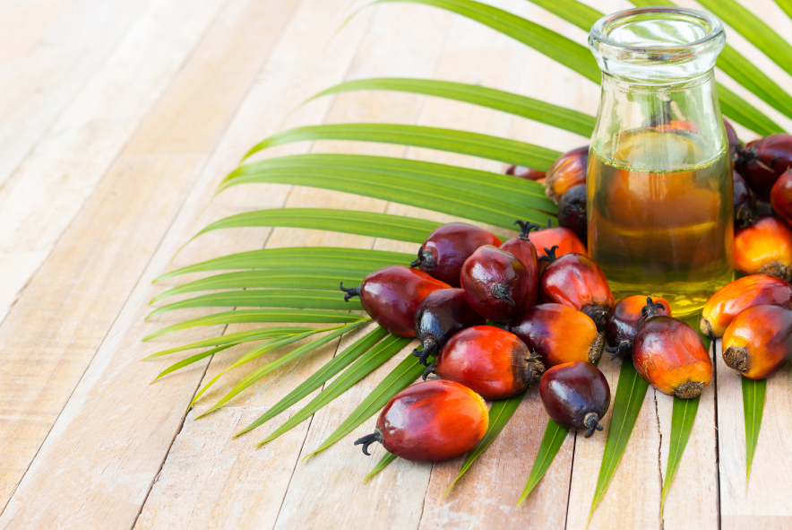 Gourmet Rebels_The Hidden Health Hazards Of Palm Oil